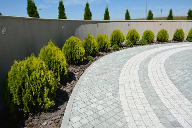 Best Residential Paver Driveway  in Sun City West, AZ